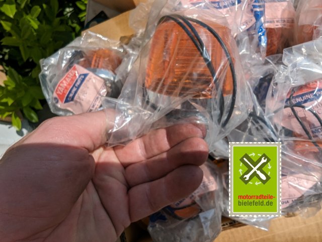 PXL_20240510_125310519